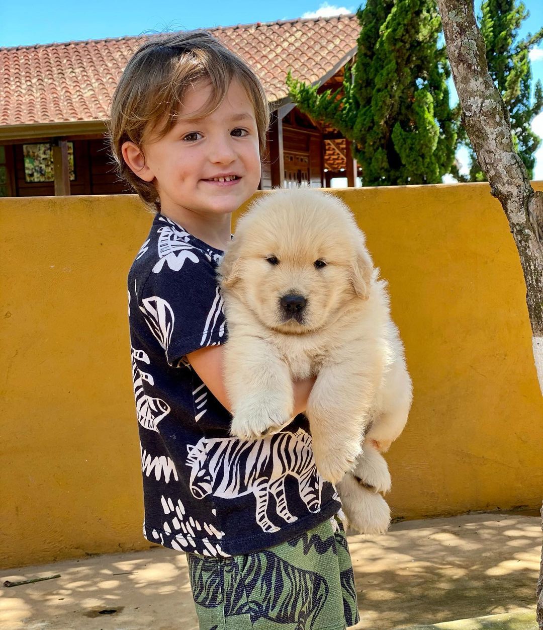 Red golden retriever puppies for sale near me